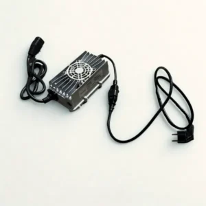 Chargeur Lithium + CAN (220V)